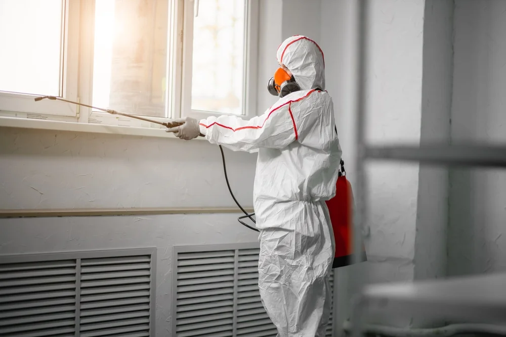 Professional mold remediation services in Whitinsville, MA